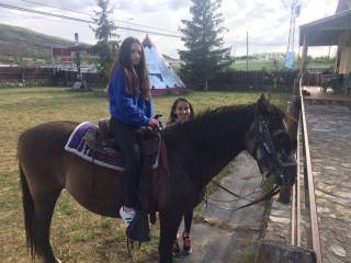 caballos con los profesores de inglés