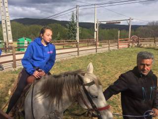 caballos con los profesores de inglés