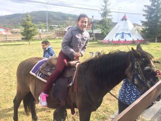 caballos con los profesores de inglés