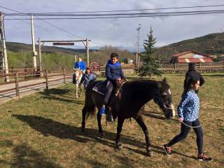 caballos con los profesores de inglés