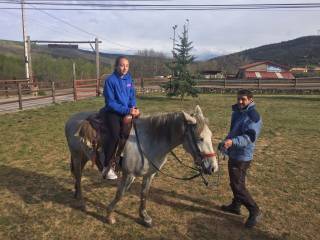 caballos con los profesores de inglés