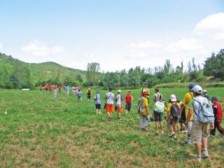 entorno del campamento de inglés