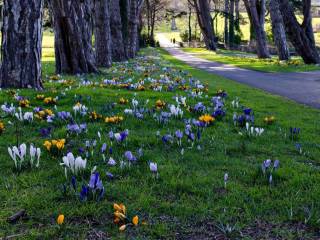 Parque de Cabinteely