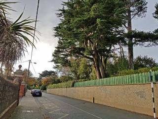 holy child school dublin