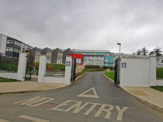 colegio de Greystones Templecarrig School