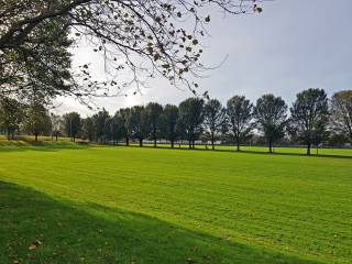 Fairview y los alredores de Marino College y St Joseph CBS