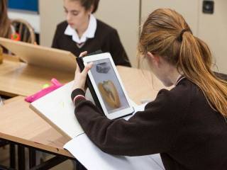 Alexandra College - Dublín. Colegios con internado en Irlanda