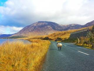 Connemara