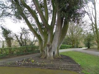 Paseando por Kilkenny