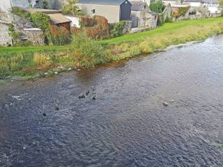 la preciosa ciudad de Thomastown y su colegio de secundaria