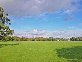 Terenure College Rugby