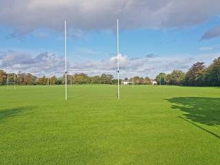 Terenure College Rugby