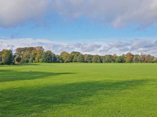 Terenure College Rugby