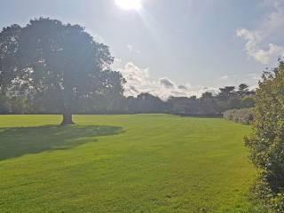 Terenure College Rugby