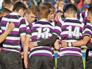 Terenure College Rugby