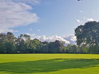 Terenure College Rugby