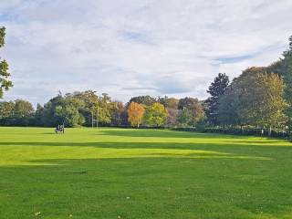 Terenure College Rugby