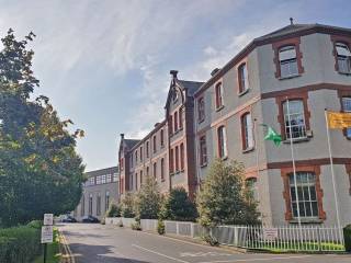 Terenure College Rugby