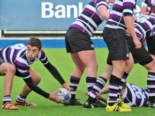 Terenure College Rugby