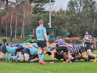 Terenure College Rugby