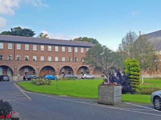 Terenure College Rugby