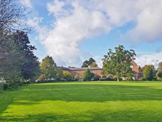 Terenure College Rugby