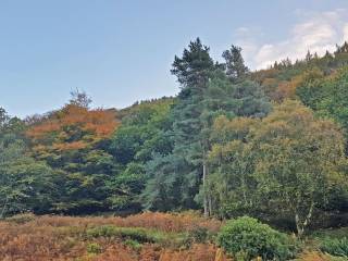 Glendalough - Wicklow