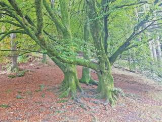 Glendalough - Wicklow