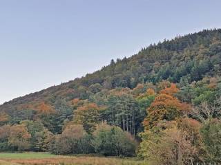 Glendalough - Wicklow