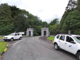 Campamento en Irlanda con niños irlandeses