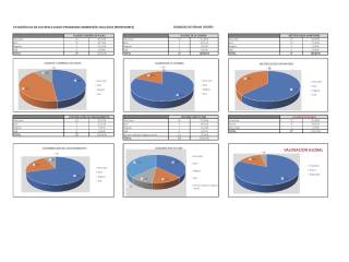 Encuestas inmersiones colegios MEFP