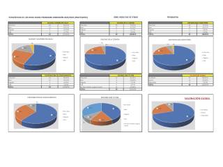 Encuestas inmersiones colegios MEFP