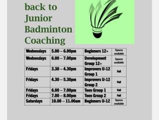 badmington ennis
