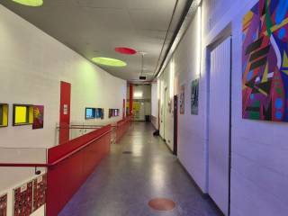 Visita a Ratoath College