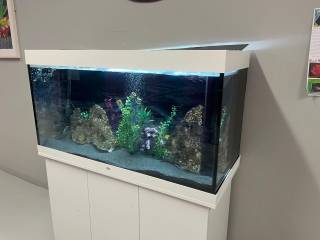 Visita a Ratoath College