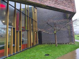 Visita a Ratoath College