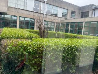 The King's Hospital School