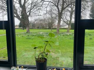 The King's Hospital School