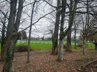 The King's Hospital School