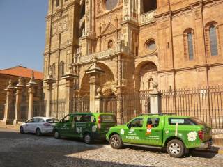 Vehiculos del campamento de inglés