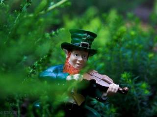 Un leprechaun violinista apareció