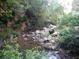 Excursión a montuerto campamento de león