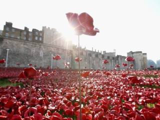 Londres, Poppy Dayr