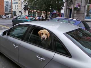 Un paseo por Sligo y Rosses Point