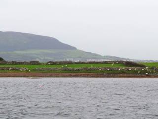 Un paseo por Sligo y Rosses Point