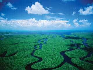 Vista aérea de Everglades National Park