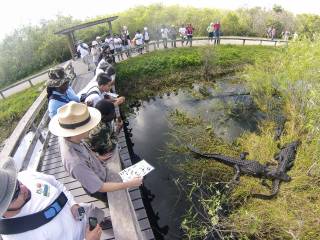 Visitantes observando a los cocodrilos