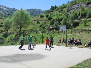 campamento de inglés y basket en 2016