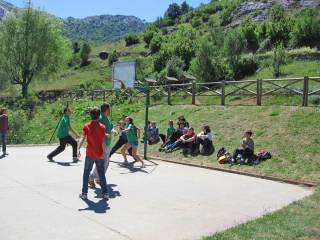 campamento de inglés y basket en 2016