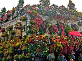 The Churchill Arms, Colorido pub de Notting Hill